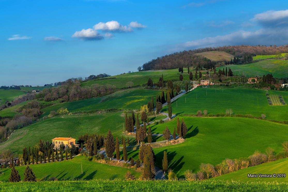 curve di Monticchiello