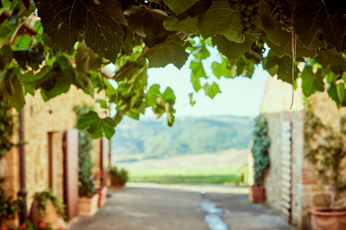 Villa Apparita Wedding Val d'Orcia